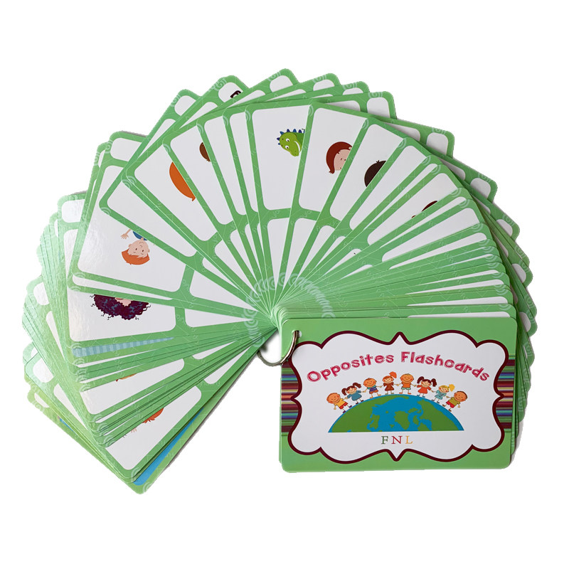 The 100 Groups Opposites Flash - Kids Education In Us review and price