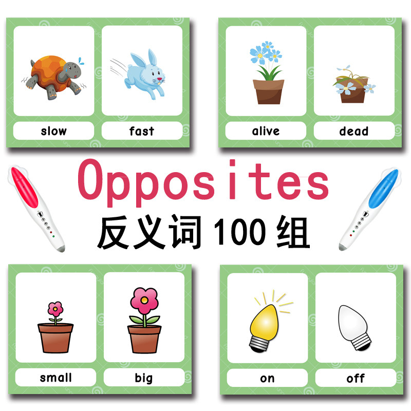 The 100 Groups Opposites Flash - Kids Education In Us review and price
