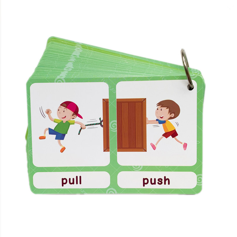 The 100 Groups Opposites Flash - Kids Education In Us review and price