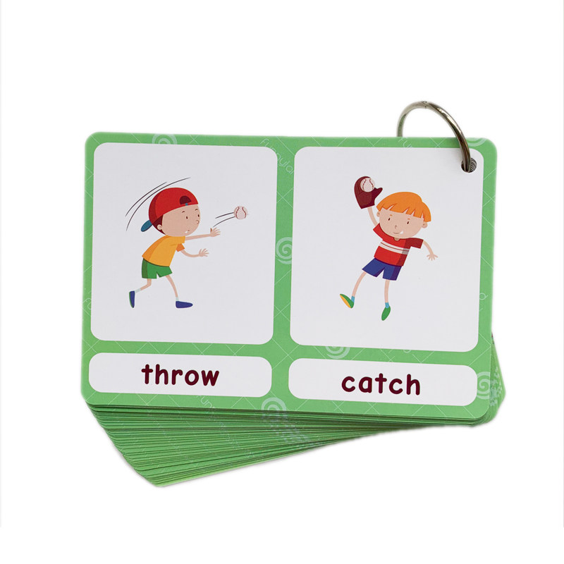 The 100 Groups Opposites Flash - Kids Education In Us review and price