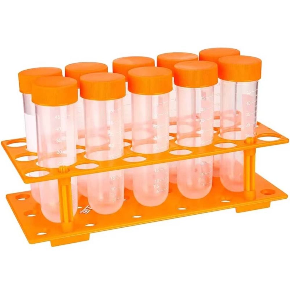 Learning Kids Test Tubes Educa - Kids Education Youtube review and price